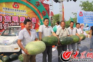 东明县吃瓜,探寻当地特色美食之旅