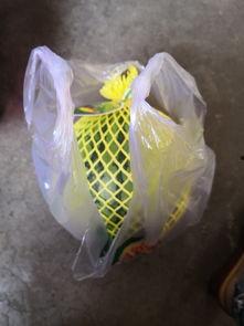 163吃瓜网,揭秘娱乐圈最新热点，带你领略明星幕后故事