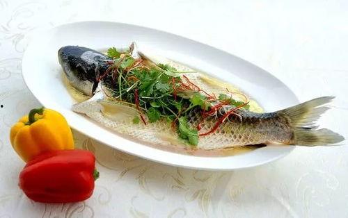 小玲鱼仔吃瓜,小玲鱼仔的瓜界探险记