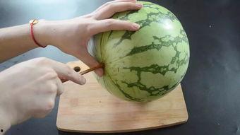 吃瓜绝技,轻松成为瓜界达人