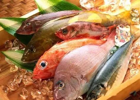 吃瓜看戏摸鱼鱼,揭秘网络时代的娱乐生活