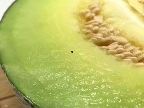 吃瓜群众吃米饭,一场味蕾的盛宴