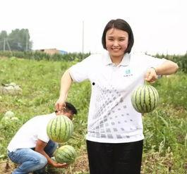 探长吃瓜解忧,揭秘悬疑案件的背后故事