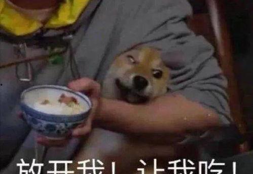 等待救援吃瓜,一场生死攸关的吃瓜奇遇