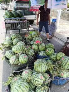 秀屿区吃瓜事件视频