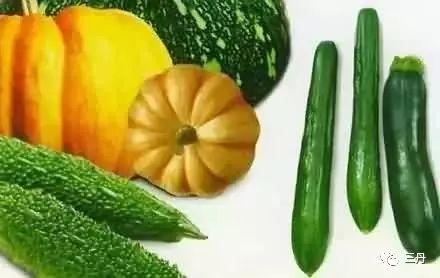 秋雨吃瓜,一场别开生面的吃瓜盛宴