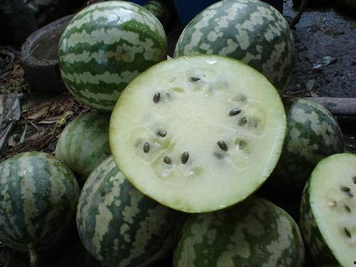 吃绿宝瓜能发胖吗,美味解暑，增肥风险几何？