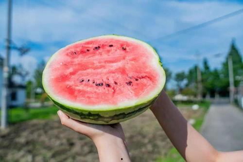 吃瓜打卡点,吃瓜打卡点的魅力与故事