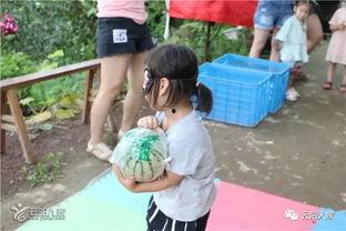 上坡吃瓜的视频,趣味横生的夏日瞬间