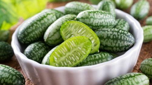 吃瓜有黄瓜和什么瓜相似,黄瓜与哪些瓜瓜相似，美味共享