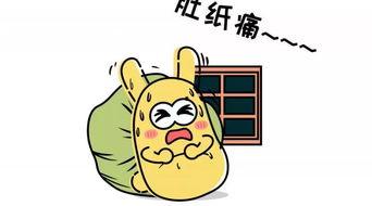 如何支持吃瓜群众,如何成为支持者的智慧指南