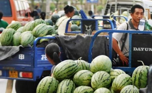 广西城职吃瓜,一场“吃瓜”事件背后的校园生活百态