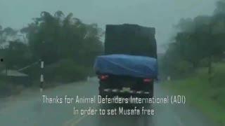 吃瓜视频怪物大全