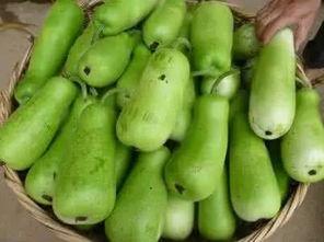 暗黑吃瓜爆料葫芦