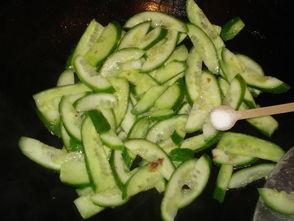 草鱼吃高瓜草,探寻水生植物与鱼类共生的奥秘