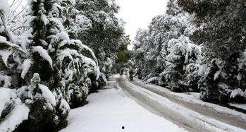 雪神吃瓜,一场奇幻的雪神吃瓜传奇