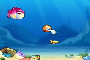 小瓜吃小鱼视频下载,萌宠美食视频下载攻略