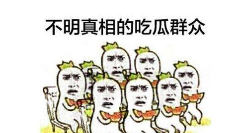 雨天吃瓜群众直播,直播带你领略雨天吃瓜群众的欢乐时光