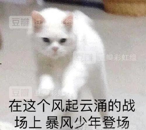 理性吃瓜合理吃瓜,探索合理吃瓜之道